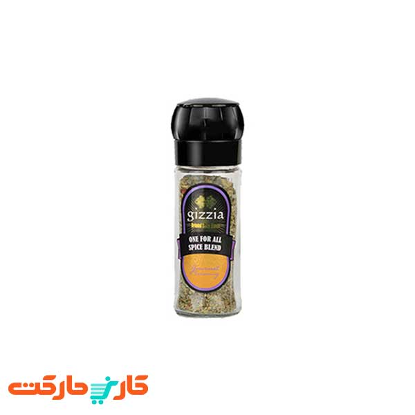 چاشنی مخلوط همه کاره گیزیا